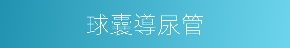 球囊導尿管的同義詞
