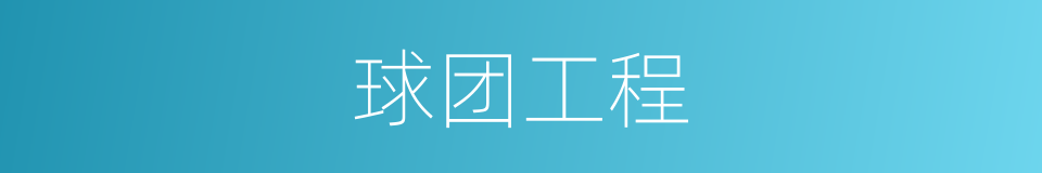 球团工程的同义词