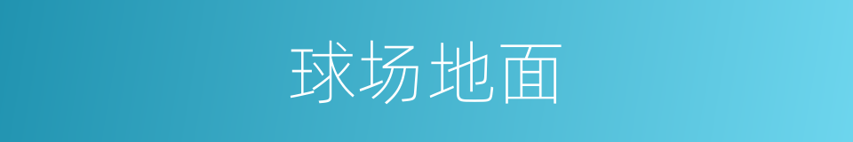 球场地面的同义词