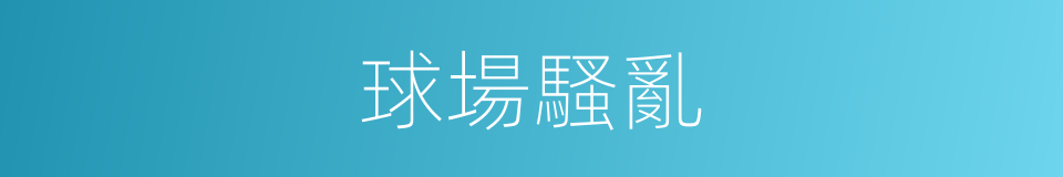 球場騷亂的同義詞