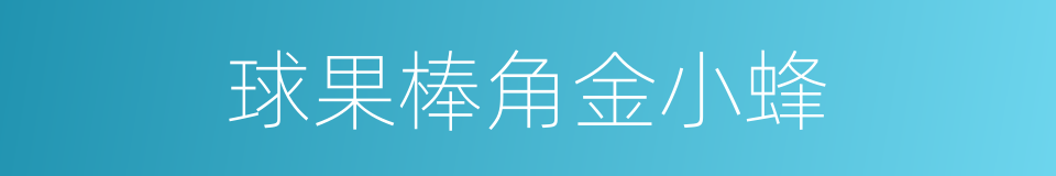 球果棒角金小蜂的同义词