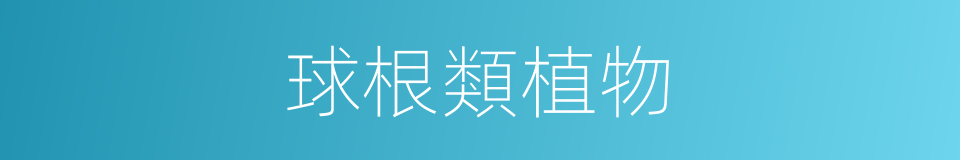 球根類植物的同義詞
