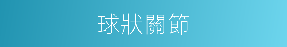 球狀關節的同義詞
