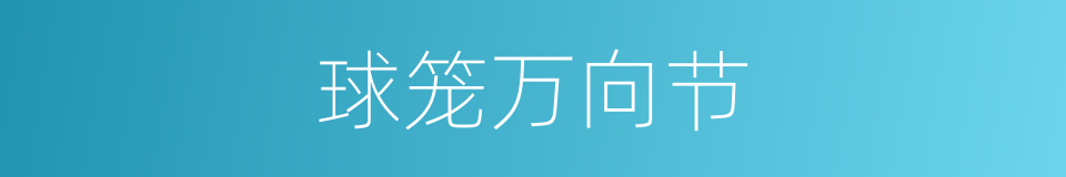 球笼万向节的同义词