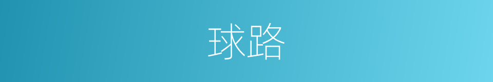 球路的意思