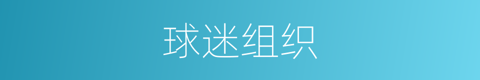 球迷组织的同义词