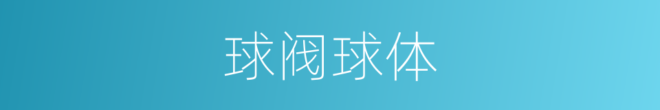 球阀球体的同义词
