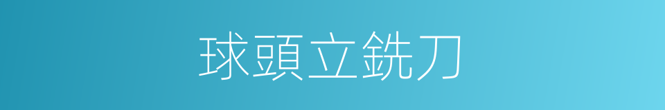 球頭立銑刀的同義詞