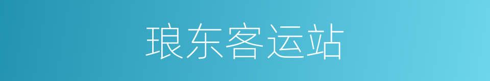 琅东客运站的同义词