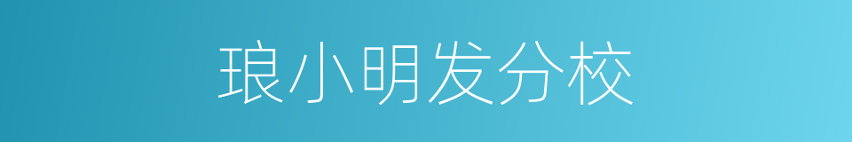 琅小明发分校的同义词