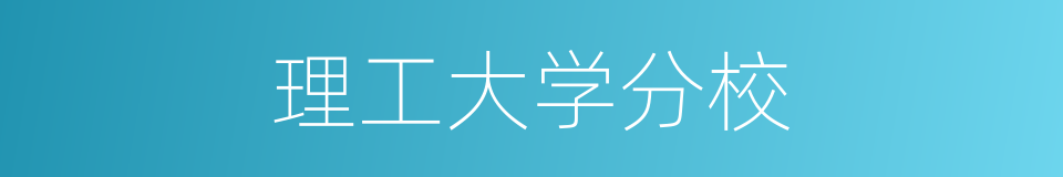 理工大学分校的同义词