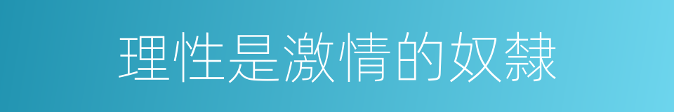 理性是激情的奴隸的同義詞