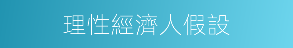 理性經濟人假設的同義詞