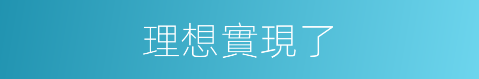 理想實現了的同義詞