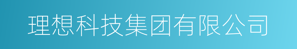 理想科技集团有限公司的同义词