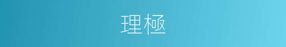 理極的意思