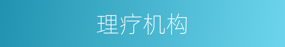 理疗机构的同义词