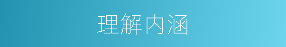 理解内涵的同义词