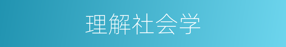 理解社会学的同义词