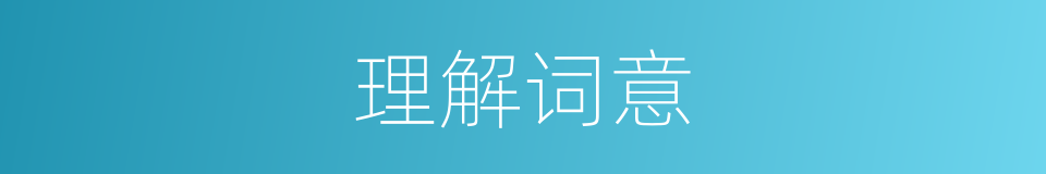 理解词意的意思