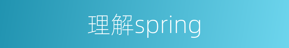 理解spring的同义词