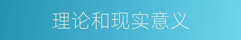理论和现实意义的同义词