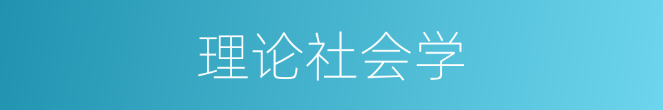 理论社会学的同义词