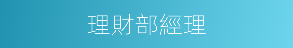 理財部經理的同義詞