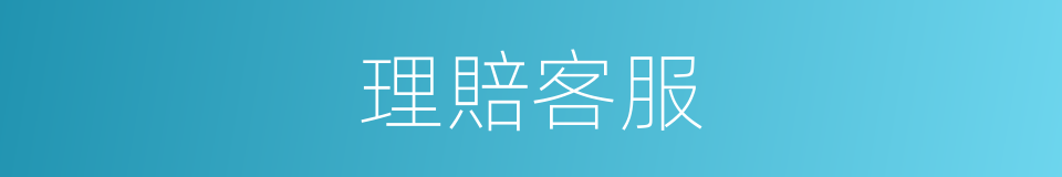 理賠客服的同義詞