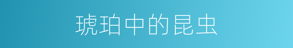 琥珀中的昆虫的同义词