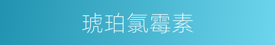 琥珀氯霉素的同义词