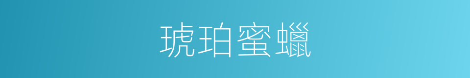 琥珀蜜蠟的同義詞