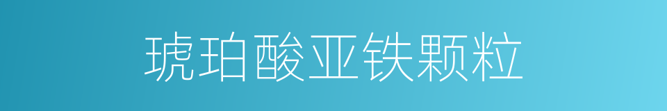 琥珀酸亚铁颗粒的同义词