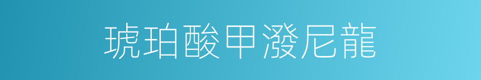 琥珀酸甲潑尼龍的同義詞