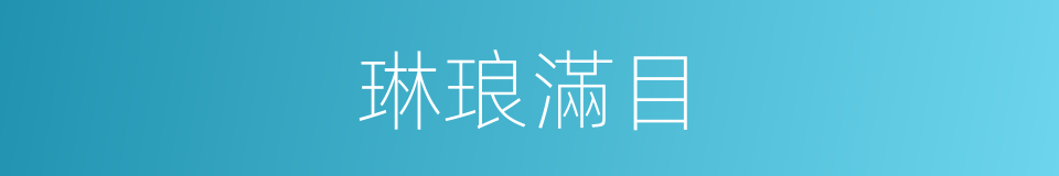 琳琅滿目的意思