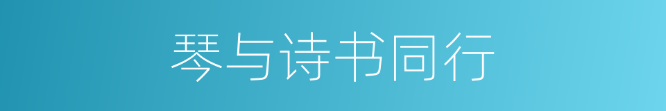 琴与诗书同行的同义词
