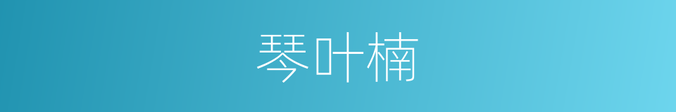 琴叶楠的同义词