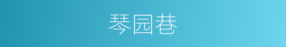 琴园巷的同义词