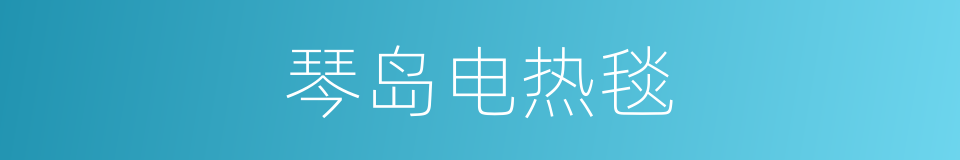 琴岛电热毯的同义词