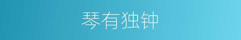 琴有独钟的同义词