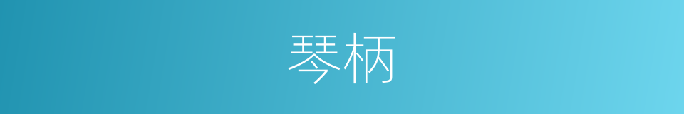 琴柄的同义词