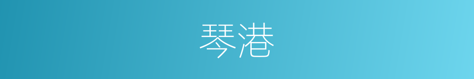 琴港的同义词