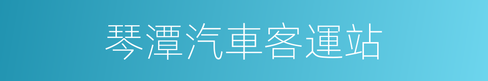 琴潭汽車客運站的同義詞