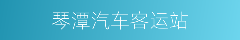 琴潭汽车客运站的同义词