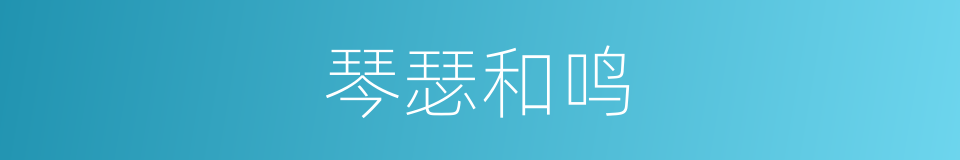 琴瑟和鸣的意思