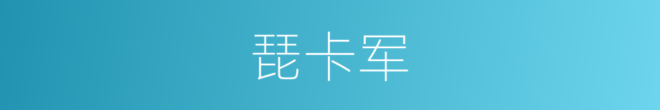 琵卡军的同义词