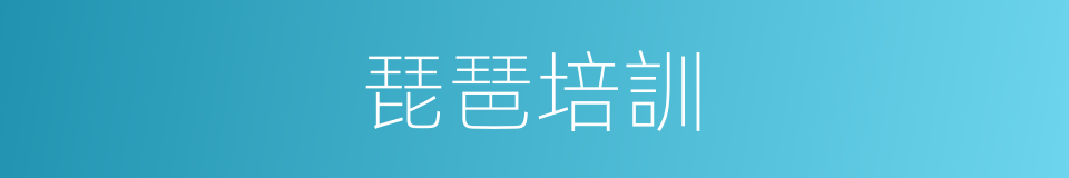 琵琶培訓的同義詞