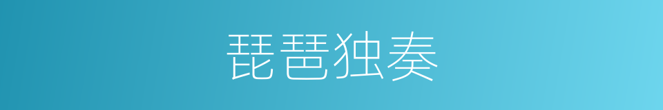 琵琶独奏的同义词