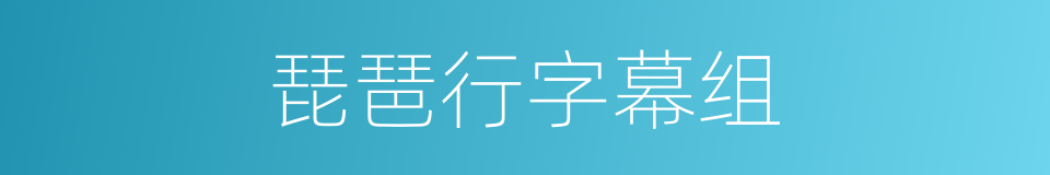 琵琶行字幕组的同义词