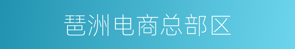 琶洲电商总部区的同义词